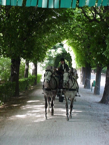 Castle In Vienna 9.jpg